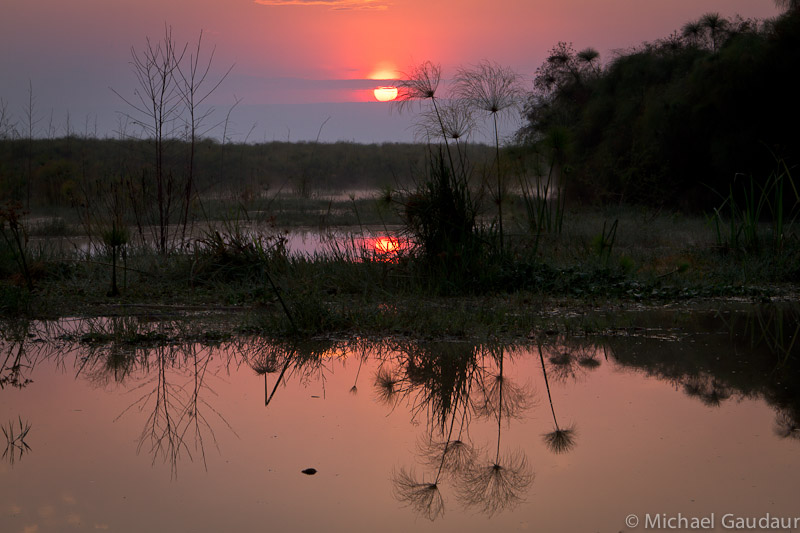 Lake Naivasha sunrise