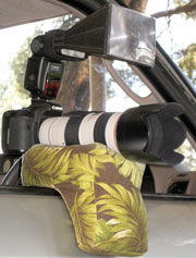 camera safari set-up